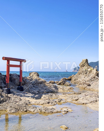 赤い鳥居と日本海　新潟県村上市　笹川流れ　弁天岩 116850770