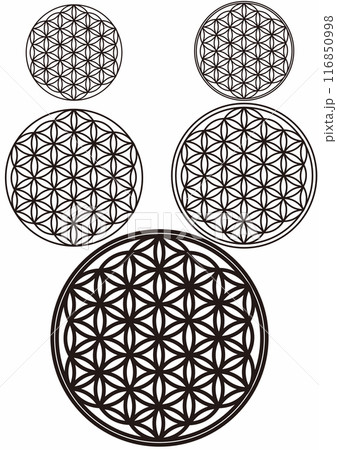 フラワーオブライフ　FlowerofLife　神聖幾何学 116850998