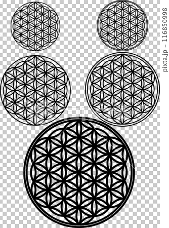 フラワーオブライフ　FlowerofLife　神聖幾何学 116850998