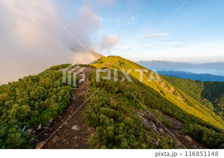 小仙丈ヶ岳から仙丈ヶ岳への登山道 小仙丈ヶ岳から仙丈ヶ岳への登山道 116851148