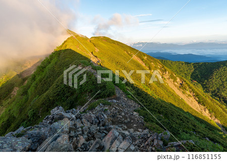 小仙丈ヶ岳から仙丈ヶ岳への登山道 小仙丈ヶ岳から仙丈ヶ岳への登山道 116851155