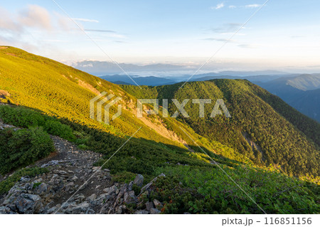 小仙丈ヶ岳から仙丈ヶ岳への登山道 116851156