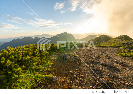 小仙丈ヶ岳から仙丈ヶ岳への登山道 小仙丈ヶ岳から仙丈ヶ岳への登山道 116851165