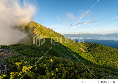 小仙丈ヶ岳から仙丈ヶ岳への登山道 116851170