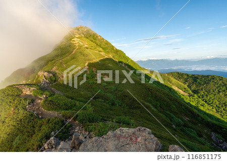 小仙丈ヶ岳から仙丈ヶ岳への登山道 116851175