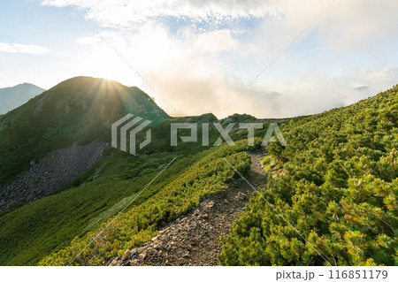 小仙丈ヶ岳から仙丈ヶ岳への登山道 小仙丈ヶ岳から仙丈ヶ岳への登山道 116851179