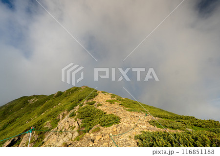 小仙丈ヶ岳から仙丈ヶ岳への登山道 小仙丈ヶ岳から仙丈ヶ岳への登山道 116851188