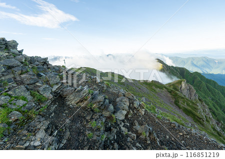 仙丈ヶ岳山頂からの景色 仙丈ヶ岳山頂からの景色 116851219