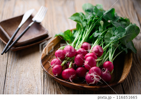 新鮮なラディッシュ (二十日大根)古板背景 新鮮なラディッシュ (二十日大根)古板背景 116851665
