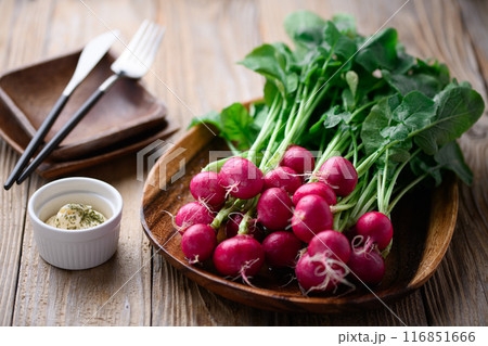 新鮮なラディッシュ （二十日大根）古板背景 116851666