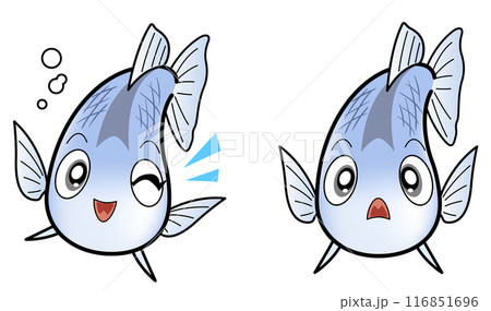 正面向きのメダカ 116851696