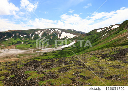 夏の大雪山 御鉢平展望台から見た景色 お鉢平と旭岳山頂部 夏の大雪山 御鉢平展望台から見た景色 お鉢平と旭岳山頂部 116851892