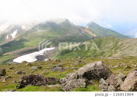 夏の大雪山 北鎮岳山頂からの眺め 比布岳 愛別岳 鋸岳 夏の大雪山 北鎮岳山頂からの眺め 比布岳 愛別岳 鋸岳 116851904