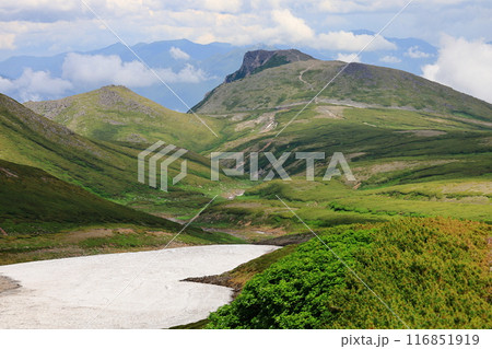夏の大雪山　北鎮岳分岐からの眺め　黒岳　桂月岳 116851919