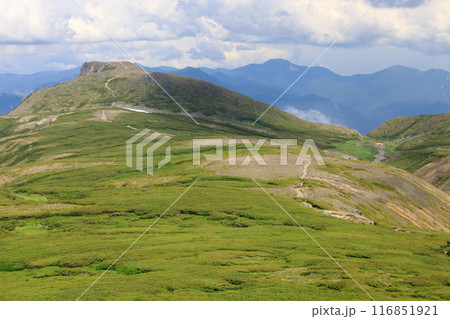 夏の大雪山 お鉢平登山道付近からの眺め 黒岳へ続く登山道 夏の大雪山 お鉢平登山道付近からの眺め 黒岳へ続く登山道 116851921