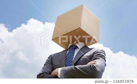 ダンボール箱をかぶったビジネスマン ダンボール箱をかぶったビジネスマン 116851974