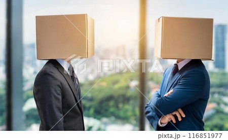 ダンボール箱をかぶって向き合う2人のビジネスマン　覆面対談 116851977