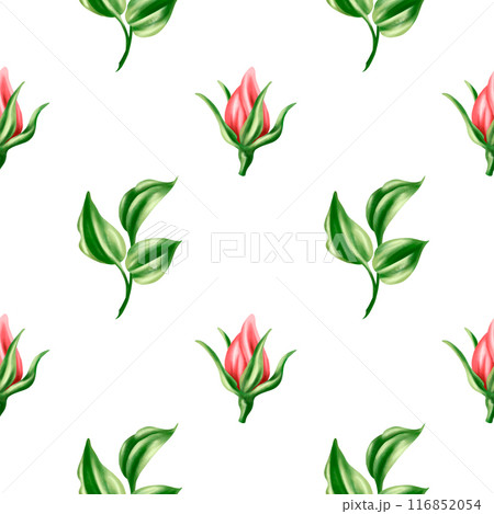 Seamless pattern of vintage pastel pink rose buds and green leaves. Romantic and beautiful digital illustration, repeating pattern. For decoration, design of invitations, date saving, greeting card 116852054