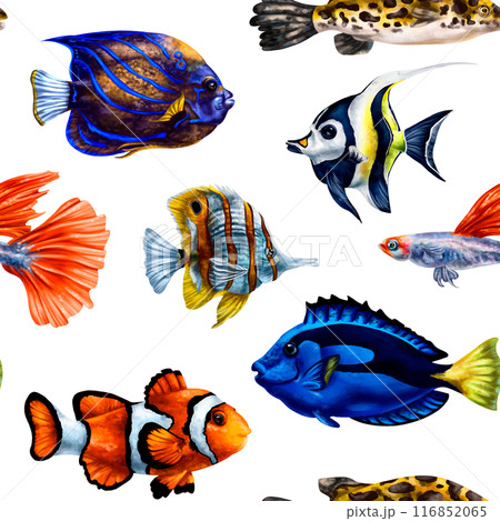 Seamless pattern with bright tropical colorful fish. Marine underwater life, travel, diving and snorkeling are exotic places. Illustrations for textiles, banners, wrapping paper, wallpaper 116852065