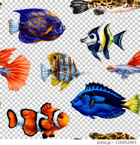 Seamless pattern with bright tropical colorful fish. Marine underwater life, travel, diving and snorkeling are exotic places. Illustrations for textiles, banners, wrapping paper, wallpaper 116852065