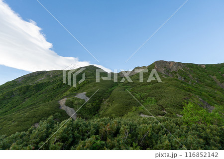 仙丈ヶ岳から仙丈小屋、薮沢小屋方面の登山道 116852142