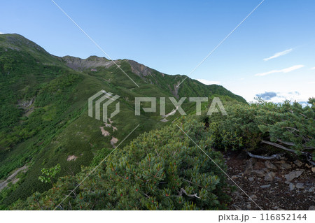 仙丈ヶ岳から仙丈小屋、薮沢小屋方面の登山道 116852144