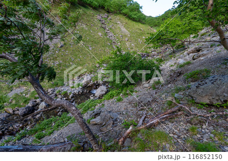 仙丈ヶ岳から仙丈小屋、薮沢小屋方面の登山道 116852150