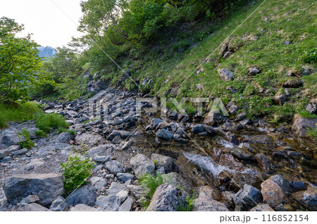 仙丈ヶ岳から仙丈小屋、薮沢小屋方面の登山道 仙丈ヶ岳から仙丈小屋、薮沢小屋方面の登山道 116852154
