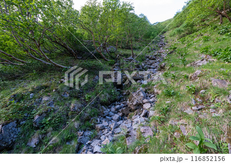 仙丈ヶ岳から仙丈小屋、薮沢小屋方面の登山道 仙丈ヶ岳から仙丈小屋、薮沢小屋方面の登山道 116852156