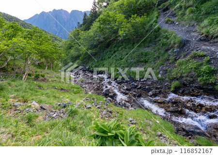仙丈ヶ岳から仙丈小屋、薮沢小屋方面の登山道 仙丈ヶ岳から仙丈小屋、薮沢小屋方面の登山道 116852167
