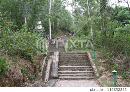 ベトナムの遺跡公園の階段 116852235