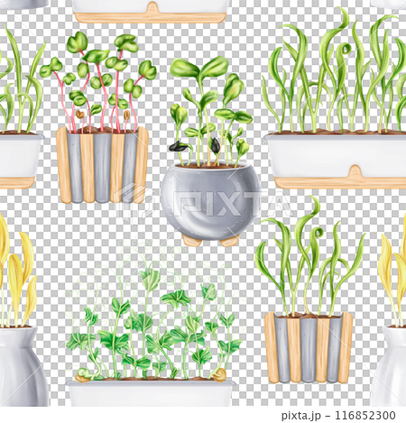A seamless pattern of potted houseplants. Seedlings with microgreens for healthy nutrition. A vegetable garden on the windowsill. The growth of micro-greenery at home. Digital isolated illustration 116852300
