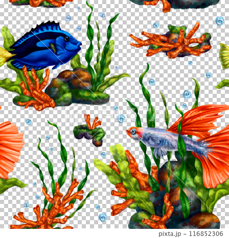 fish, undersea, pattern, print, aquarium, tropic, exotic, seamless, nature, algae, marine life, endless, coral, illustration, wallpaper, ocean, fabric, animal, underwater, paper, trip, swimming, fauna 116852306