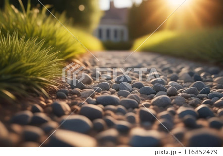 Step into serenity with this beautiful close-up of a pebble pathway glistening 116852479