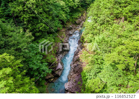 断崖の渓谷「川浦渓谷」(岐阜県) 断崖の渓谷「川浦渓谷」(岐阜県) 116852527
