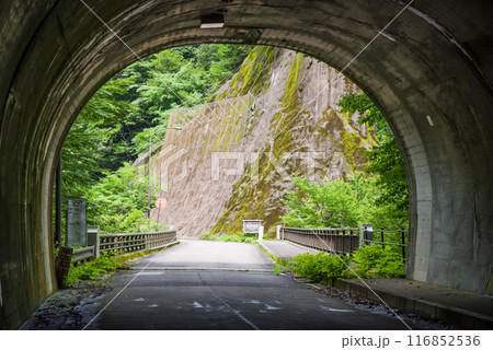 断崖の渓谷「川浦渓谷」新錦トンネル(岐阜県) 断崖の渓谷「川浦渓谷」新錦トンネル(岐阜県) 116852536