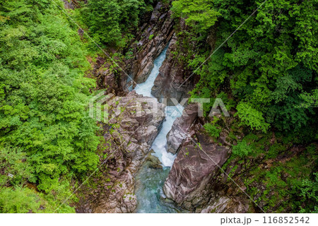 断崖の渓谷「川浦渓谷」（岐阜県） 116852542