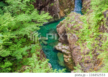 断崖の渓谷「川浦渓谷」(岐阜県) 断崖の渓谷「川浦渓谷」(岐阜県) 116852553