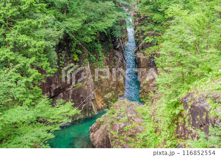 断崖の渓谷「川浦渓谷」（岐阜県） 116852554