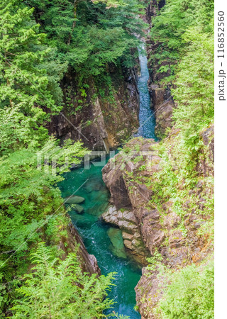 断崖の渓谷「川浦渓谷」（岐阜県） 116852560