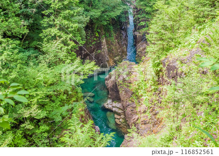 断崖の渓谷「川浦渓谷」（岐阜県） 116852561