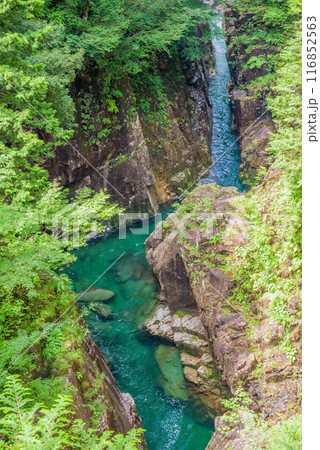 断崖の渓谷「川浦渓谷」（岐阜県） 116852563