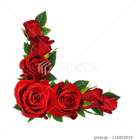 Red rose flowers in a corner floral arrangement isolated on white 116852633