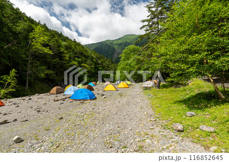 仙丈ヶ岳と甲斐駒ヶ岳の為の長衛小屋ベースキャンプ 仙丈ヶ岳と甲斐駒ヶ岳の為の長衛小屋ベースキャンプ 116852645