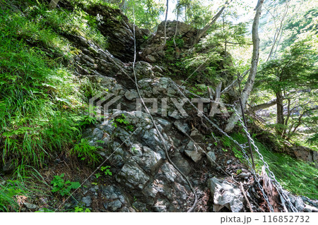 北沢峠から甲斐駒ヶ岳への登山道 116852732