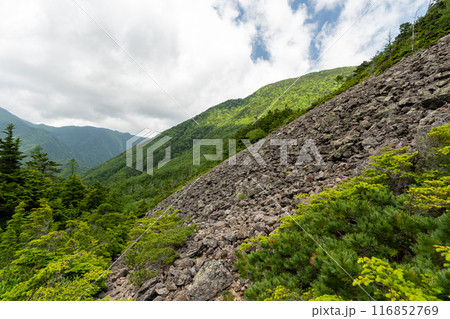 北沢峠から甲斐駒ヶ岳への登山道 北沢峠から甲斐駒ヶ岳への登山道 116852769