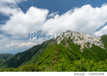 北沢峠から甲斐駒ヶ岳への登山道 北沢峠から甲斐駒ヶ岳への登山道 116852949