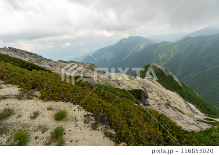 北沢峠から甲斐駒ヶ岳への登山道 116853020