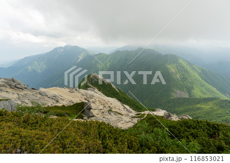 北沢峠から甲斐駒ヶ岳への登山道 116853021