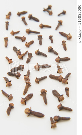 クローブ(チョウジ・丁字) 116853080